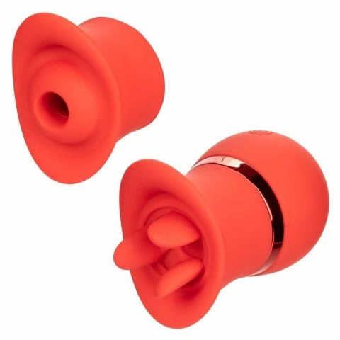 CalExotics French Kiss Suck & Play - zestaw z 2 końcowkami, silikon, USB