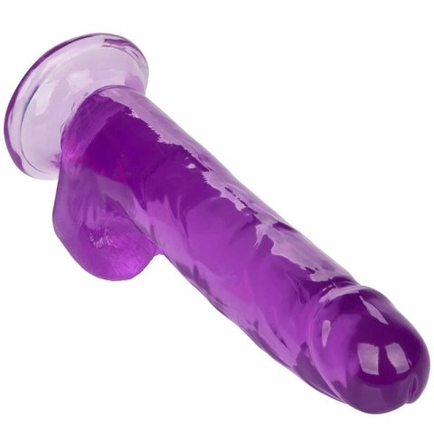 CalExotics Size Queen Violet 20,3 cm - model anatomiczny z przyssawką