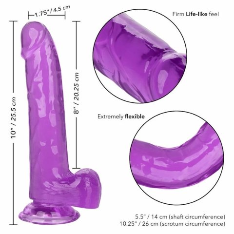 CalExotics Size Queen Violet 20,3 cm - model anatomiczny z przyssawką