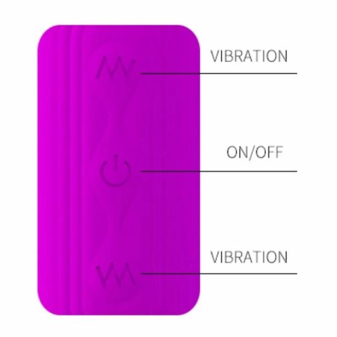 Pretty Love Dream Lovers Whip 2 - Elastyczny model z 12 trybami, USB