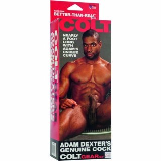 CalExotics COLT Adam Dexters Model anatomiczny z przyssawką 21 cm