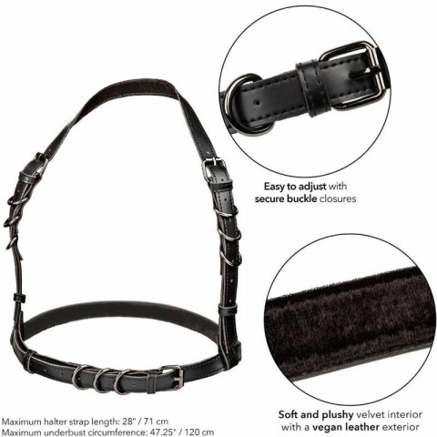 CalExotics Euphoria Plus Size szelki halter czarne z welurowym wnętrzem