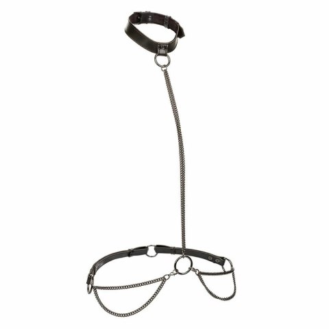 CalExotics Euphoria Chain Halter Collar & Leash - Skora wegańska, regulacja