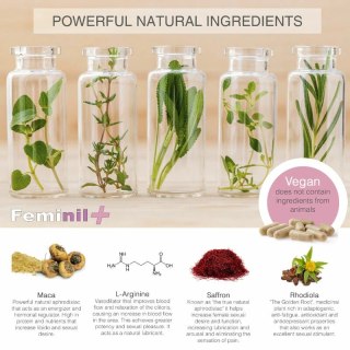 500 Cosmetics Feminil+ Suplement dla Kobiet 30 kapsułek Wsparcie Rownowagi