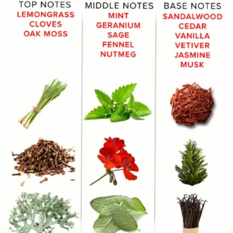 Eye of Love EOL PHR Parfum Deluxe 50ml - kompozycja romantyczna i świeża