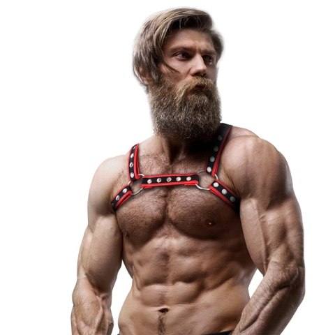 Fetish Submissive Attitude Bulldog - Uprząż męska eko-skora czarno-czerwona