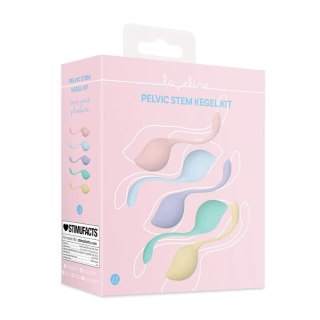 Pelvic Stem Kegel Kit - Multicolor