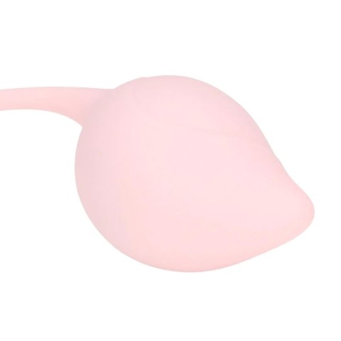 Pelvic Stem Kegel Kit - Multicolor