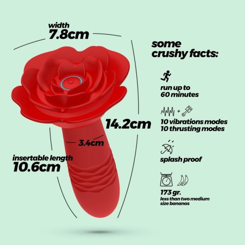 Crushious Romeo Rożana Maszyna Intymna z Pilotem, Czerwona, 14,2 cm