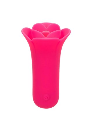 Lily Licker Mini Flower Flicker