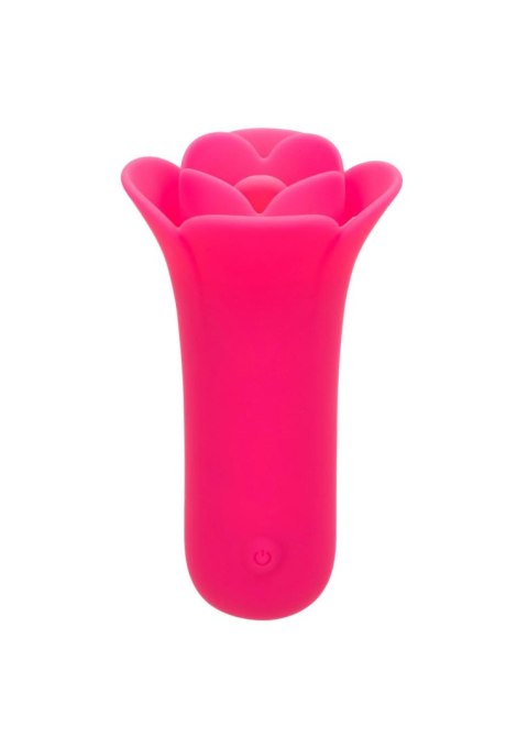 Lily Licker Mini Flower Flicker