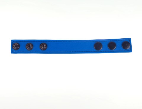 Cocky Pasek Regulowany Skorzany Niebieski 2,5 cm - System Zatrzaskow