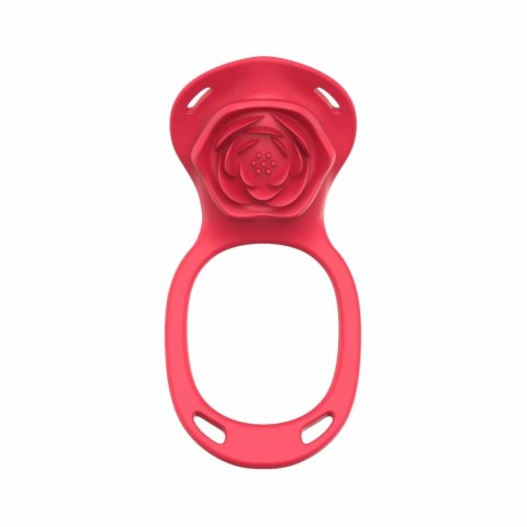 Teazers Harness Red - Intymny System Wibrujący z Pilotem USB