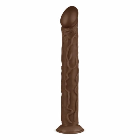 Real Fantasy David model anatomiczny z mocną przyssawką 35 cm