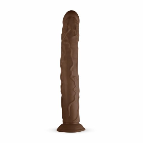 Real Fantasy David model anatomiczny z mocną przyssawką 35 cm