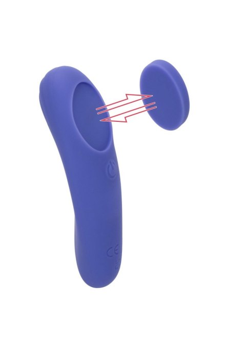 Calex Connect Panty Teaser Purple