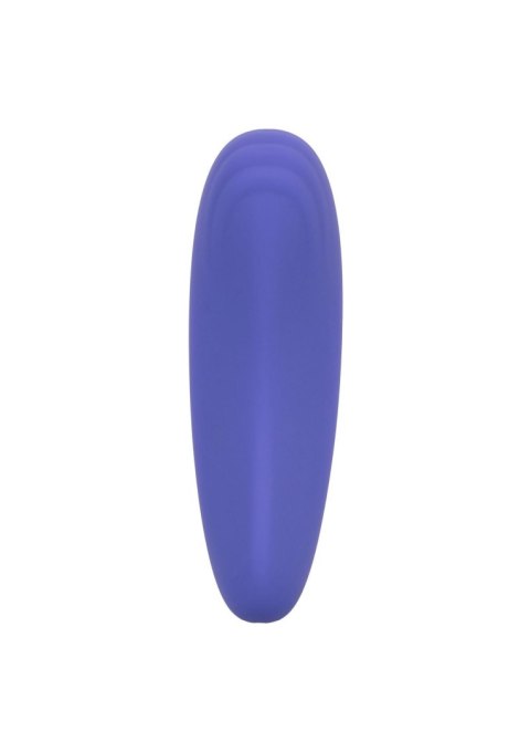 Calex Connect Panty Teaser Purple