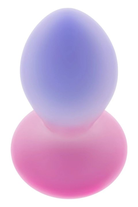 EVOLVED Paradise Plug silikonowy z pilotem, 10 trybow, USB, transparentny