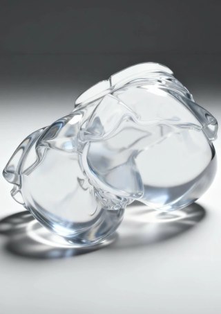 Hidden Desire Bangers See-Through Upskirt 2 kg - przezroczysty model anatomiczny