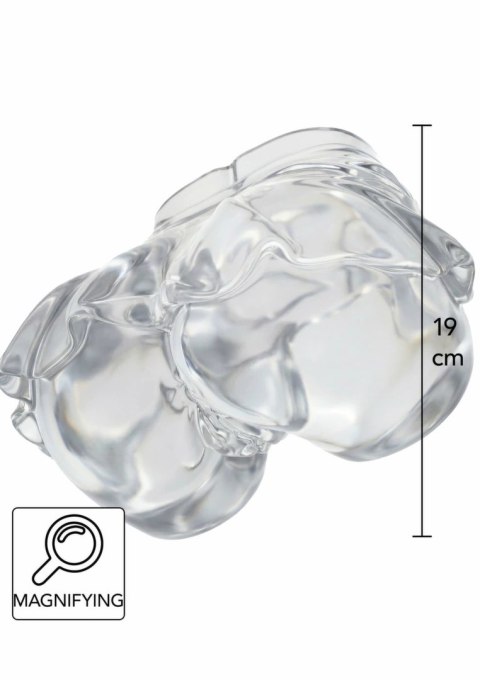 Hidden Desire Bangers See-Through Upskirt 2 kg - przezroczysty model anatomiczny