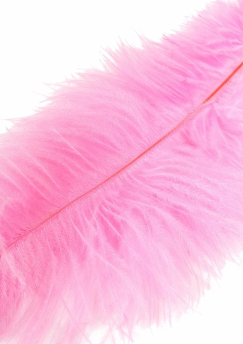 HIDDEN DESIRE Double Feather Tickler podwojna miękka packa piorka
