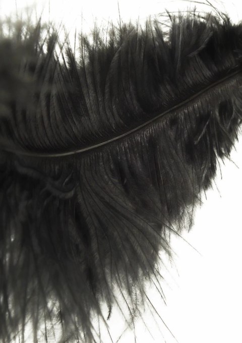 Hidden Desire EXTREME Double Feather Tickler podwojna miękka packa z pior