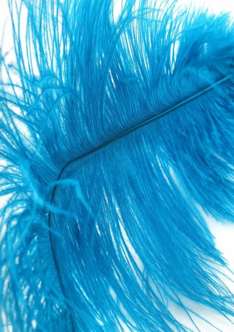Hidden Desire EXTREME Double Feather Tickler podwojny piorkowy akcesorium czarny