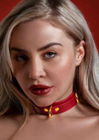 TABOOM D-Ring Collar Deluxe skorzana obroża z 3 pierścieniami, czarna