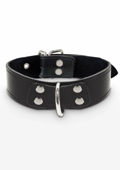 TABOOM Elegant D-Ring Collar regulowany, welurowa wyściołka, czarny