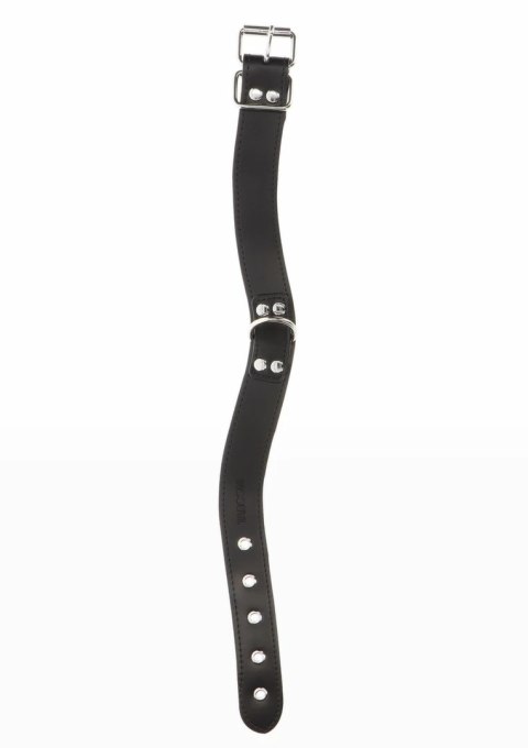 TABOOM Elegant D-Ring Collar regulowany, welurowa wyściołka, czarny