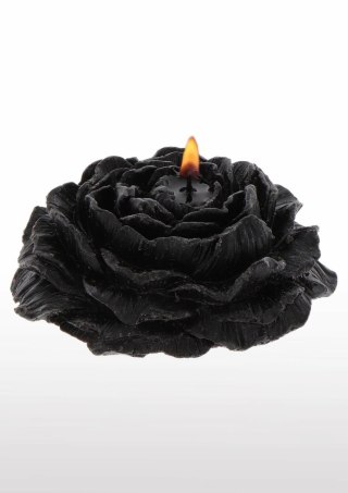 TABOOM Rose Japanese Drip Candle 2 szt. czarna i bordowa niska temperatura
