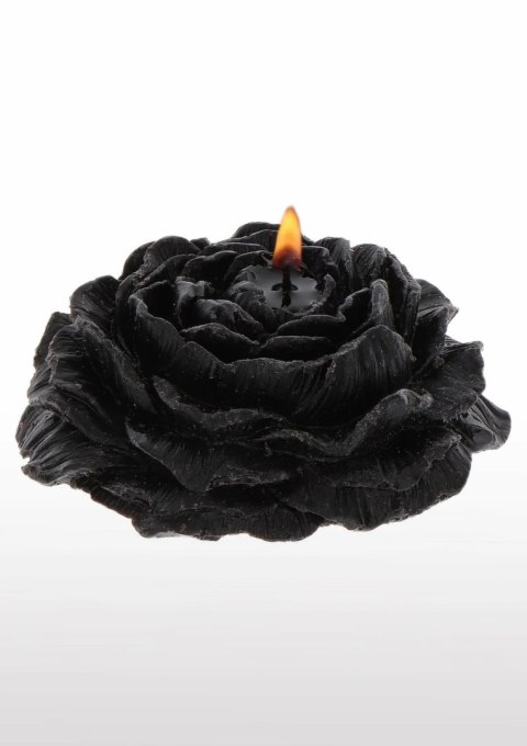TABOOM Rose Japanese Drip Candle 2 szt. czarna i bordowa niska temperatura