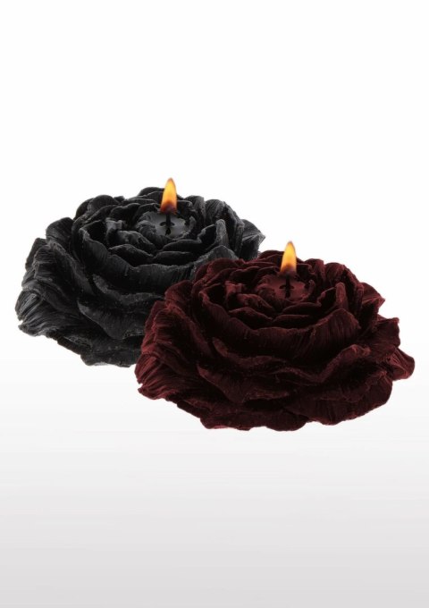 TABOOM Rose Japanese Drip Candle 2 szt. czarna i bordowa niska temperatura