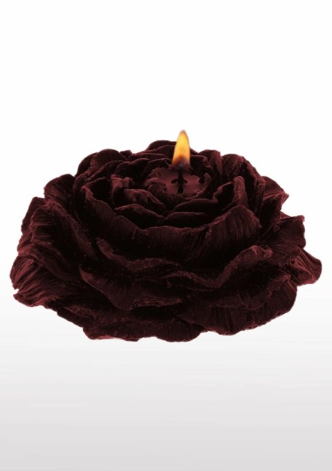 TABOOM Rose Japanese Drip Candle 2 szt. czarna i bordowa niska temperatura