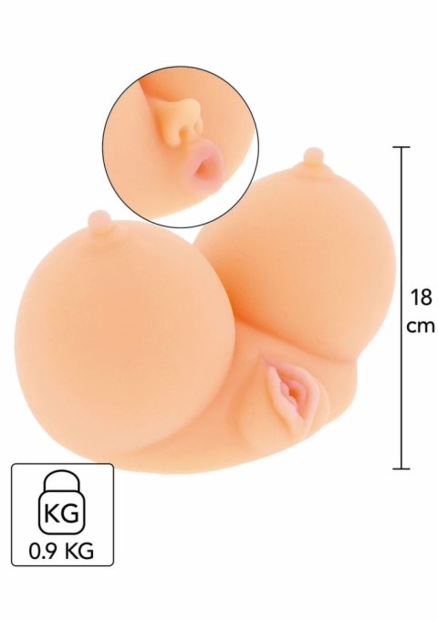 HIDDEN DESIRE BANGERS Busty Bimbo - model anatomiczny z dużym biustem