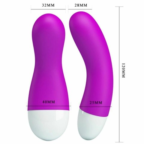 Pretty Love Stymulator Punktu G Iana 30 trybow silikonowy USB fioletowy