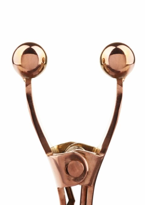 Mr. Steel Balls Pincher - metalowe klamry z obciążnikami, srebrne