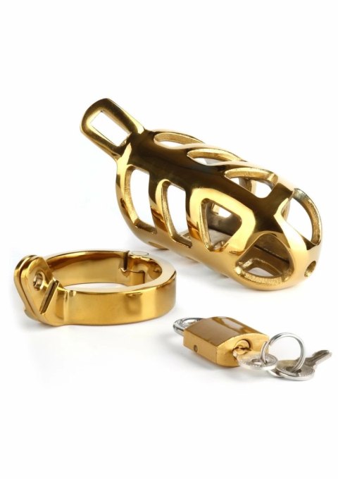 Mr. Steel Brutal Chastity Cage Gold - stalowa klatka intymna, złota
