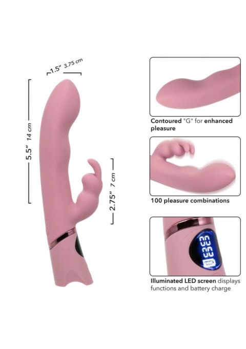 CalExotics Orgasmatron Digital G-Bunny masażer dwustrefowy, 100 kombinacji pracy
