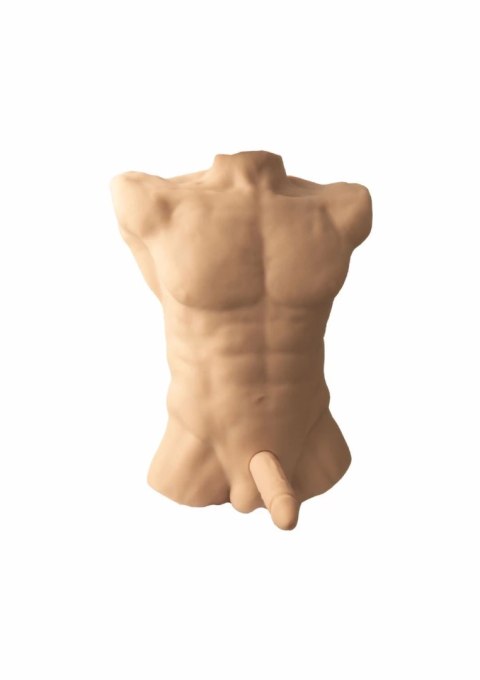 Silex-D Silicone Torso Large Model 7" Apollo L - anatomiczny korpus silikonowy