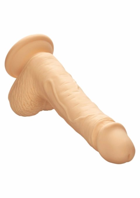 CalExotics Dual Density Silicone Stud 5" model z przyssawką, silikonowy