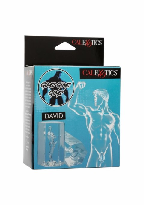 CalExotics Guys Guys Guys David przezroczysta maszyna intymna, kompaktowa