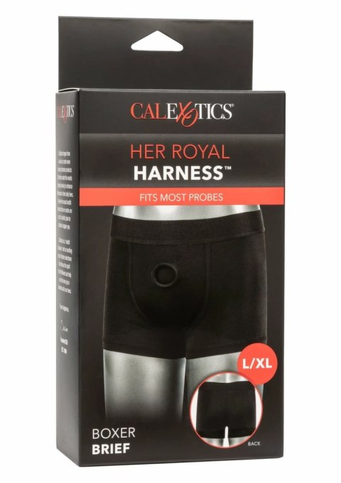 CalExotics Her Royal Harness Boxer Brief 2XL/3XL - komfortowy pas z O-ringiem