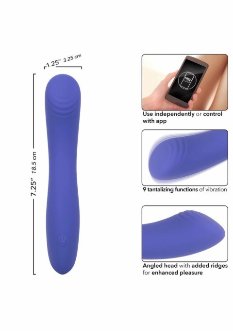 CalExotics Connect Contour G silikonowy model z aplikacją, fioletowy