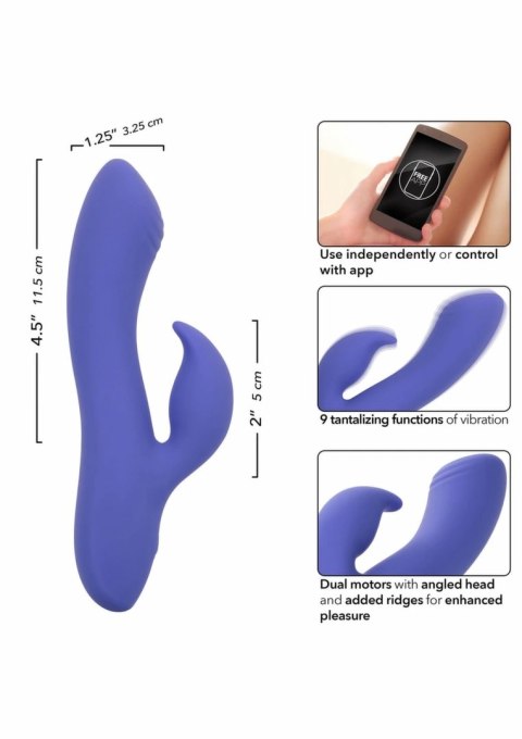 CalExotics Connect Dual Stimulator silikonowy, sterowanie aplikacją, fioletowy