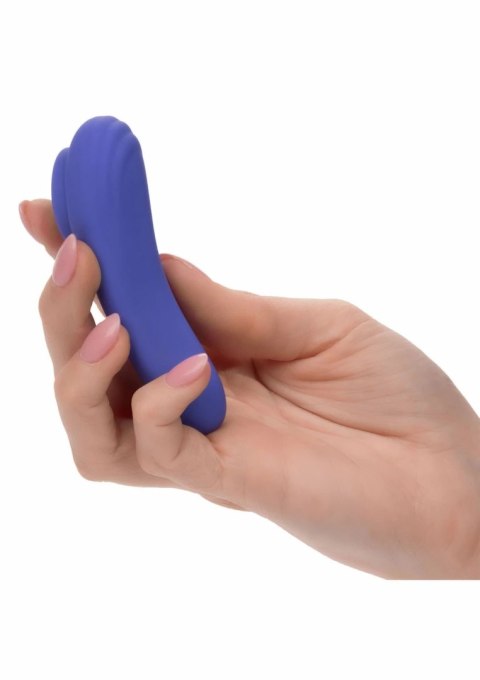 CalExotics Connect Panty Teaser - bezprzewodowy system intymny z aplikacją