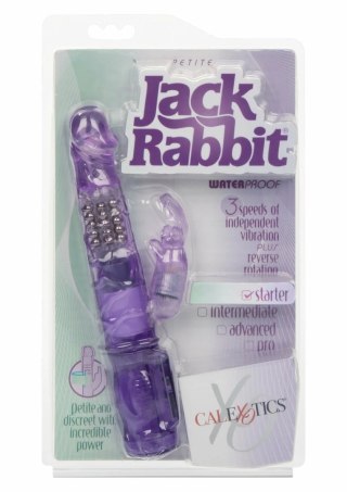 CalExotics Petite Jack Rabbit kompaktowy masażer dwufunkcyjny 12 cm