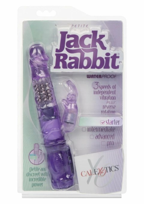 CalExotics Petite Jack Rabbit kompaktowy masażer dwufunkcyjny 12 cm