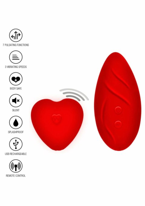TOYJOY Divine Panty Vibrator - Zestaw z koronkową bielizną i pilotem
