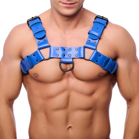 Red Leather Bulldog Harness L/XL niebieski - skorzany uprząż regulowany